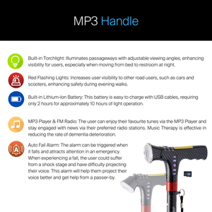 Medium CarbonQuad MP3 #WS55